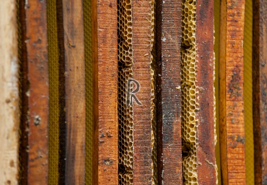 2014-02174