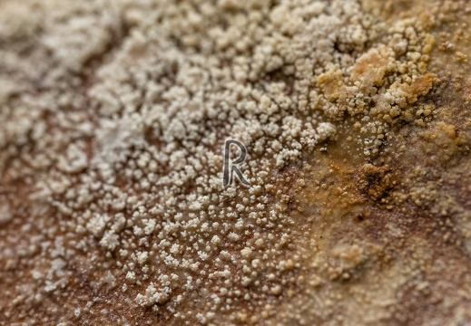 2014-02190