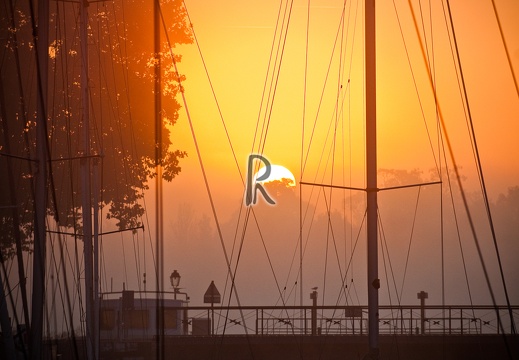 Levé de soleil sur le port de plaisance, Rochefort