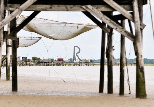 Carelets sur la Charente