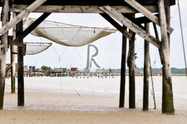 Carelets sur la Charente