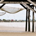 Carelets sur la Charente