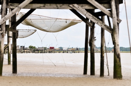 Carelets sur la Charente