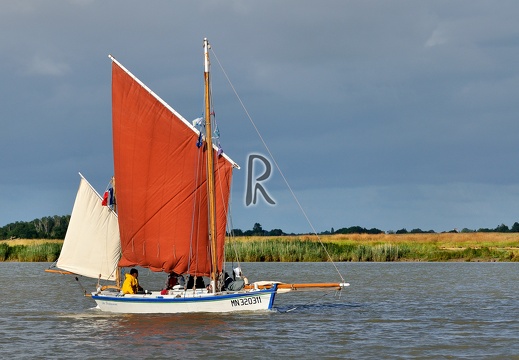 La Fourasine navigue sur la Charente