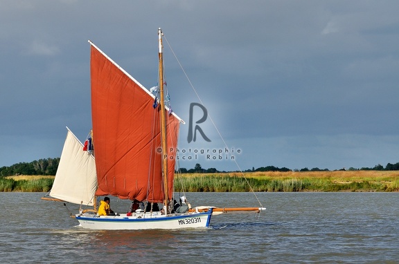 La Fourasine navigue sur la Charente