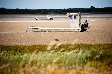 Bords de Charente