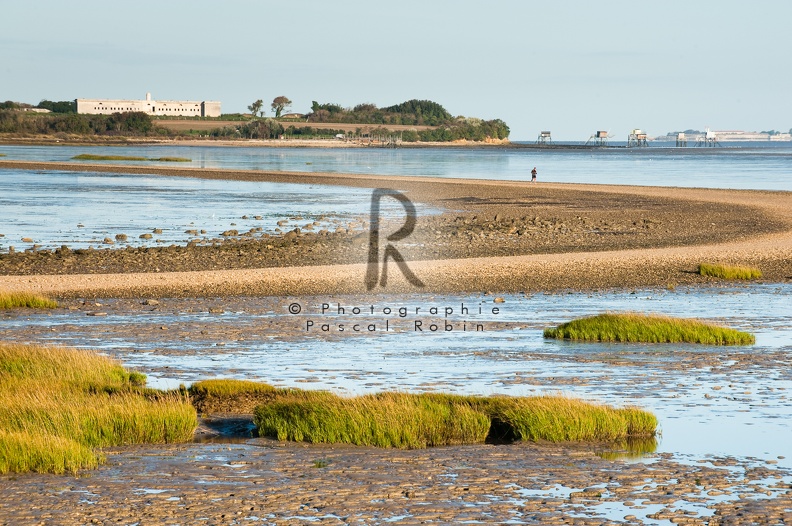 Ile Madame, la passe aux boeufs