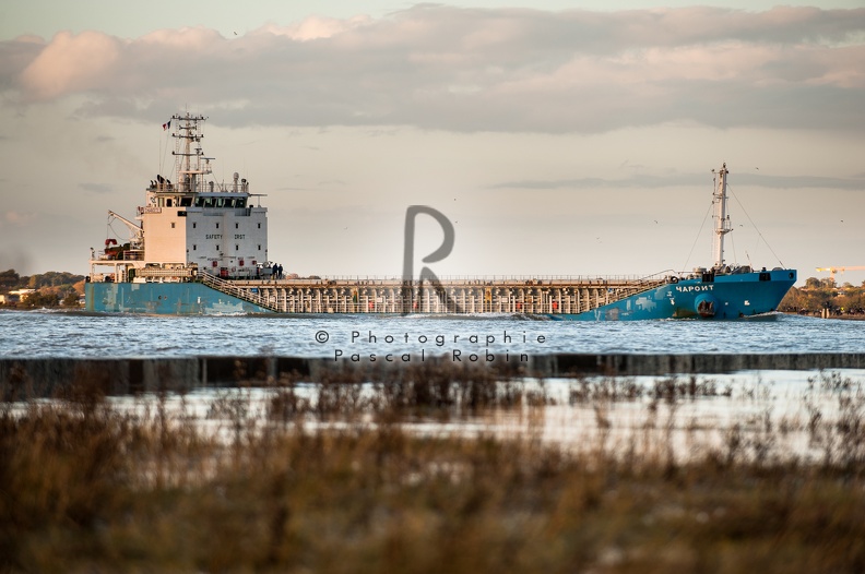 Cargo en entrée d'estuaire