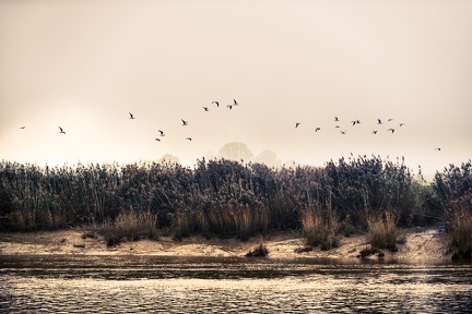 Les berges de la Charente, Rochefort