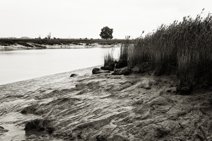 Berges de la Charente, Rochefort