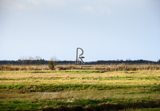 Les marais, Rochefort
