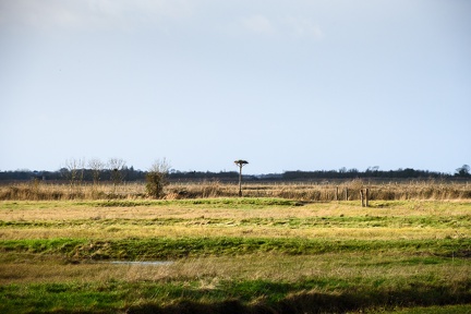 Les marais, Rochefort