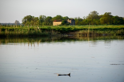 La Charente, Rochefort