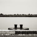 Les berges , Tonnay-Charente