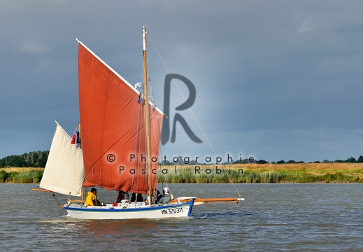La Fourasine navigue sur la Charente