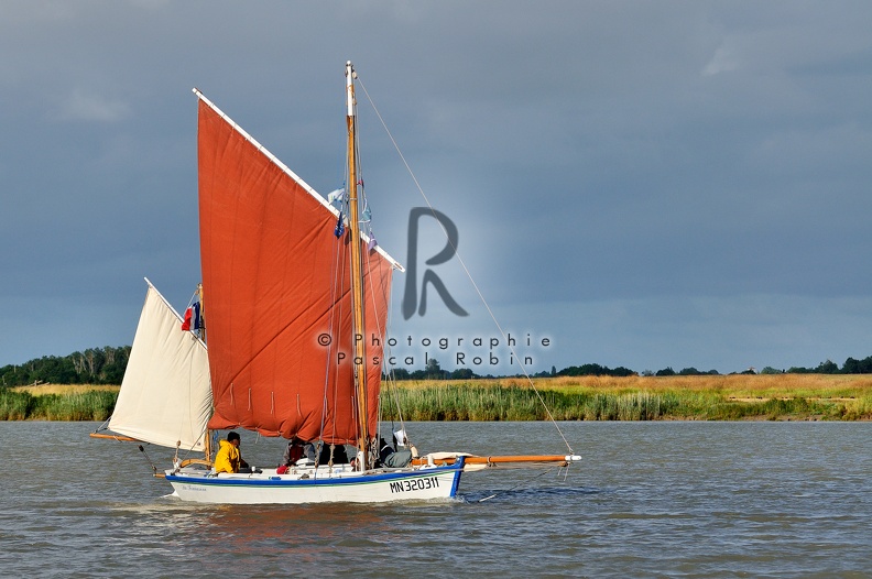 La Fourasine navigue sur la Charente