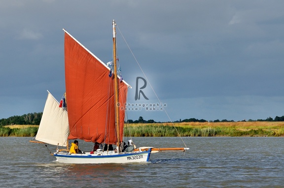 La Fourasine navigue sur la Charente
