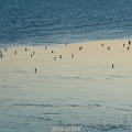 2012-31858