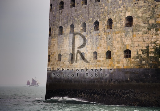 Boyard