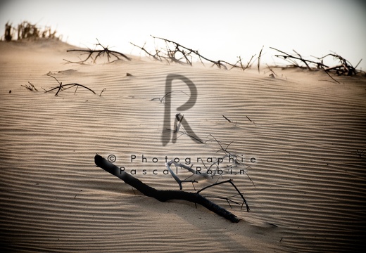 2010-04893