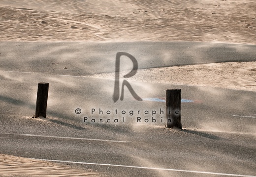 2010-04881